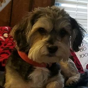 Meet your Posher, Tonya